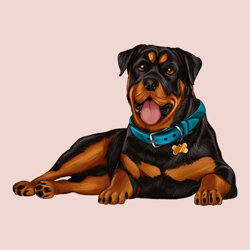 Rottweiler Premium Sweatshirt by Artiststas | Teevron