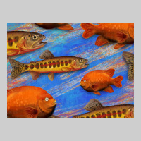 California Golden Trout Garibaldi Fish Background Premium Tee | Teevron