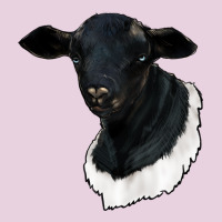 Dorper Sheep Ladies Tee | Teevron