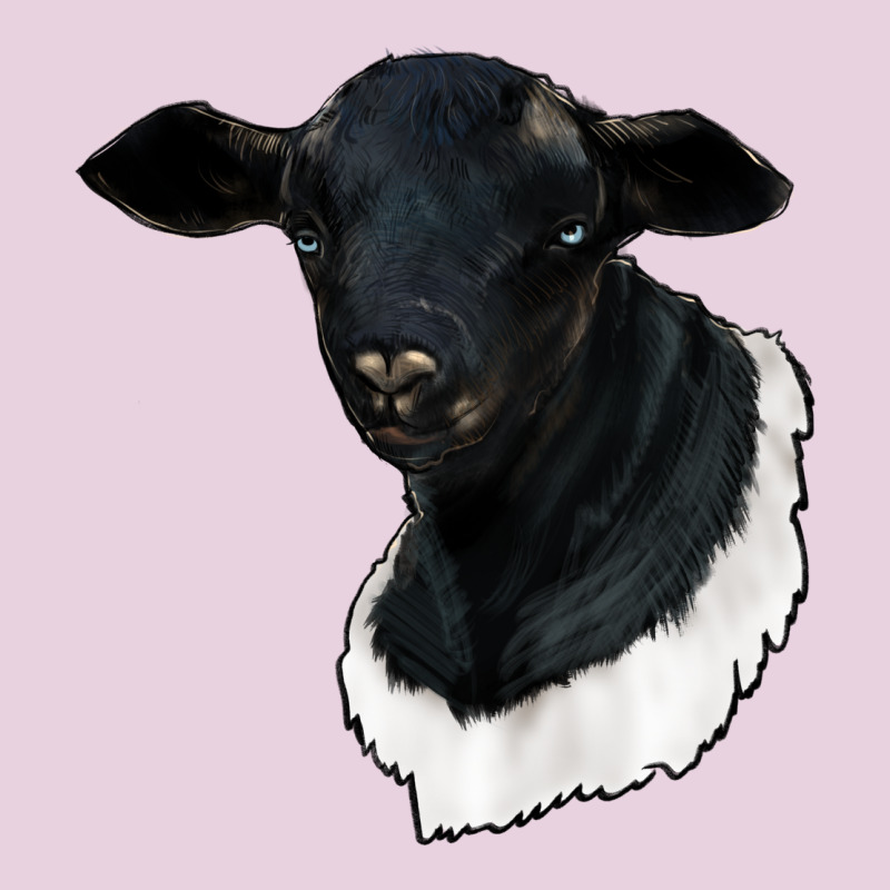Dorper Sheep Ladies Tee by RanaPortraitStore | Teevron