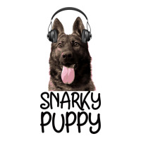 Snarky Puppy | Teevron