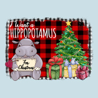 I Want Hippopotamus For Christmas Ladies Tee | Teevron
