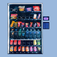 Funny Costumes For Halloween Vending Machine Silvester Premium Hoodie | Teevron