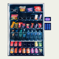 Funny Costumes For Halloween Vending Machine Silvester Urban Heavy Tee | Teevron