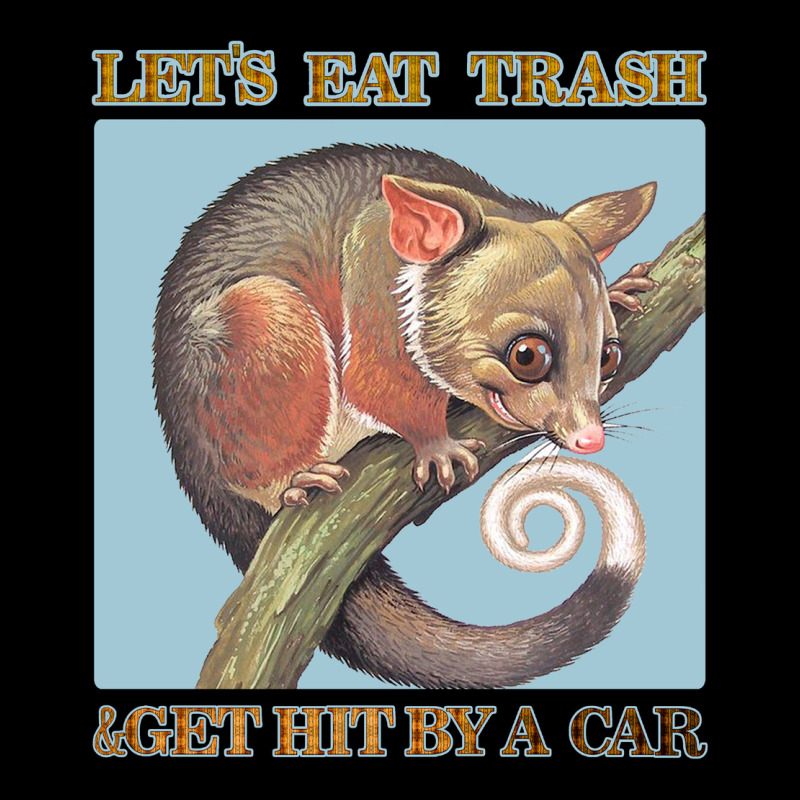 Let's Eat Trash & Get Hit By A Car Ladies Tee by Bettercallsaul | Teevron