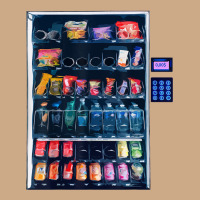 Funny Costumes For Halloween Vending Machine Silvester Vintage Hoodie | Teevron