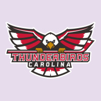 Carolina Thunderbirds Premium Hoodie | Teevron