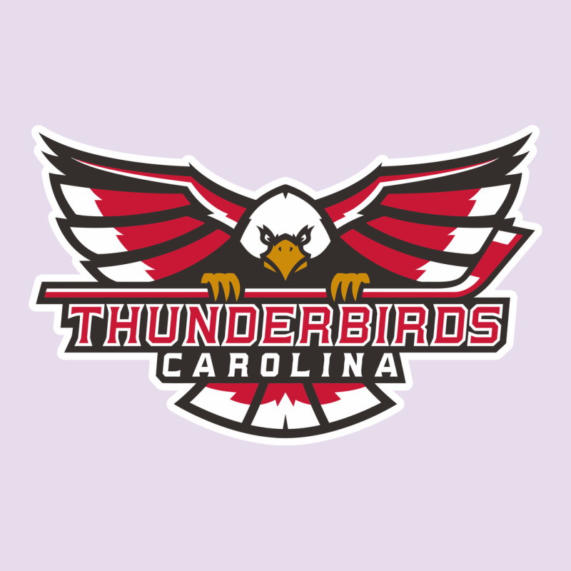 Carolina Thunderbirds Premium Hoodie by minhPixels | Teevron