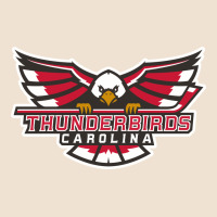 Carolina Thunderbirds Urban Heavy Tee | Teevron