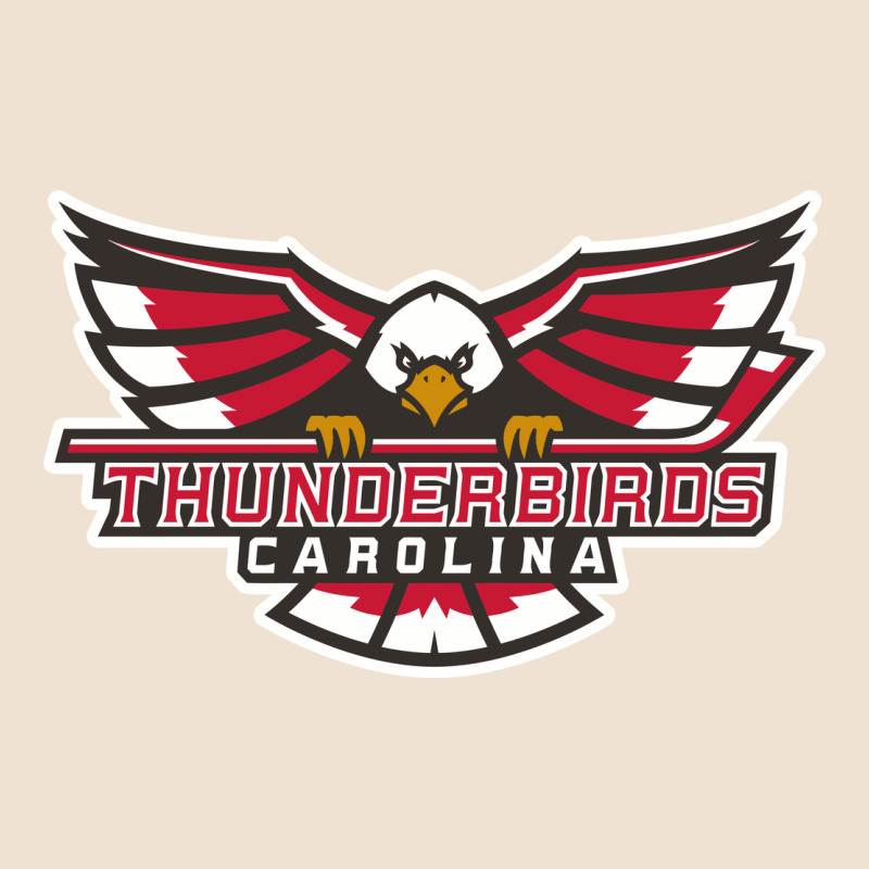 Carolina Thunderbirds Urban Heavy Tee by minhPixels | Teevron