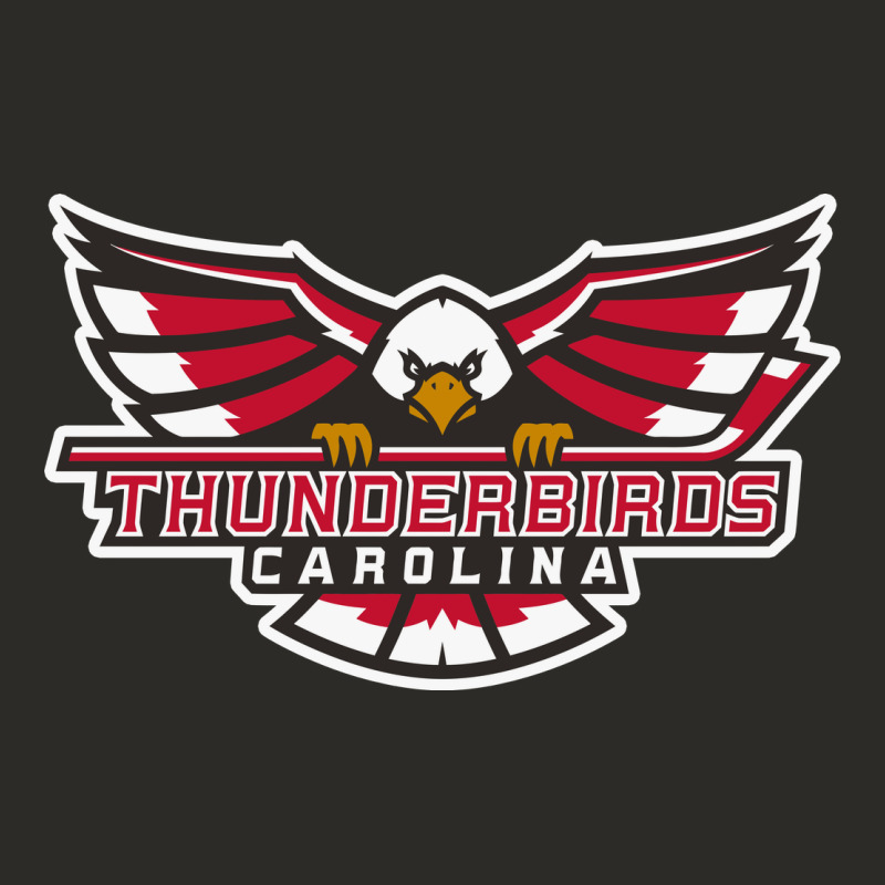 Carolina Thunderbirds Heavy Core Tee by minhPixels | Teevron