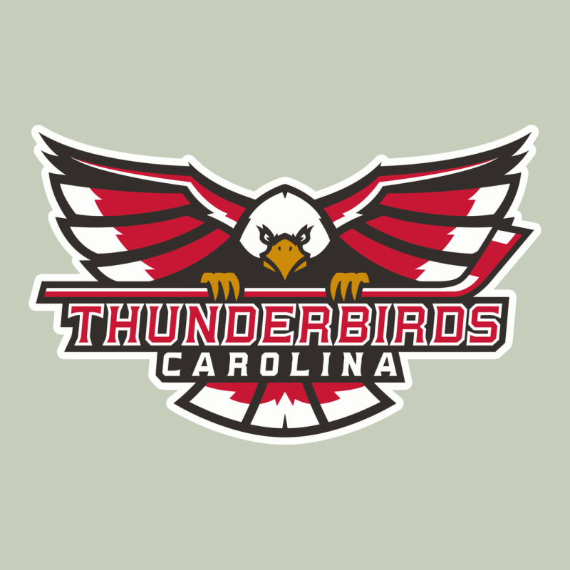Carolina Thunderbirds Long Sleeve Tee by minhPixels | Teevron