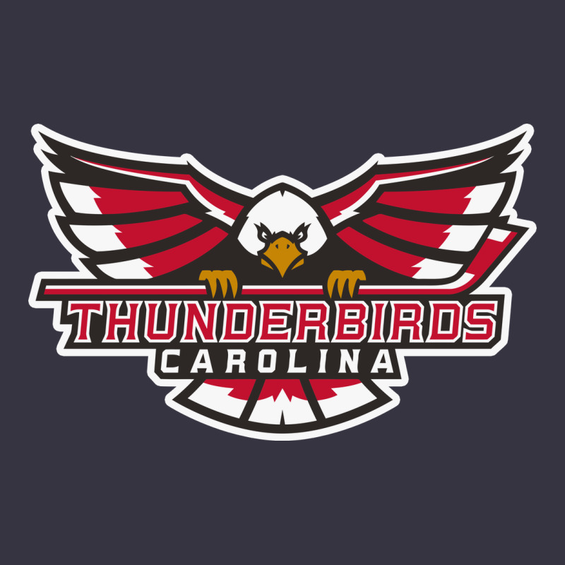 Carolina Thunderbirds Vintage Hoodie by minhPixels | Teevron