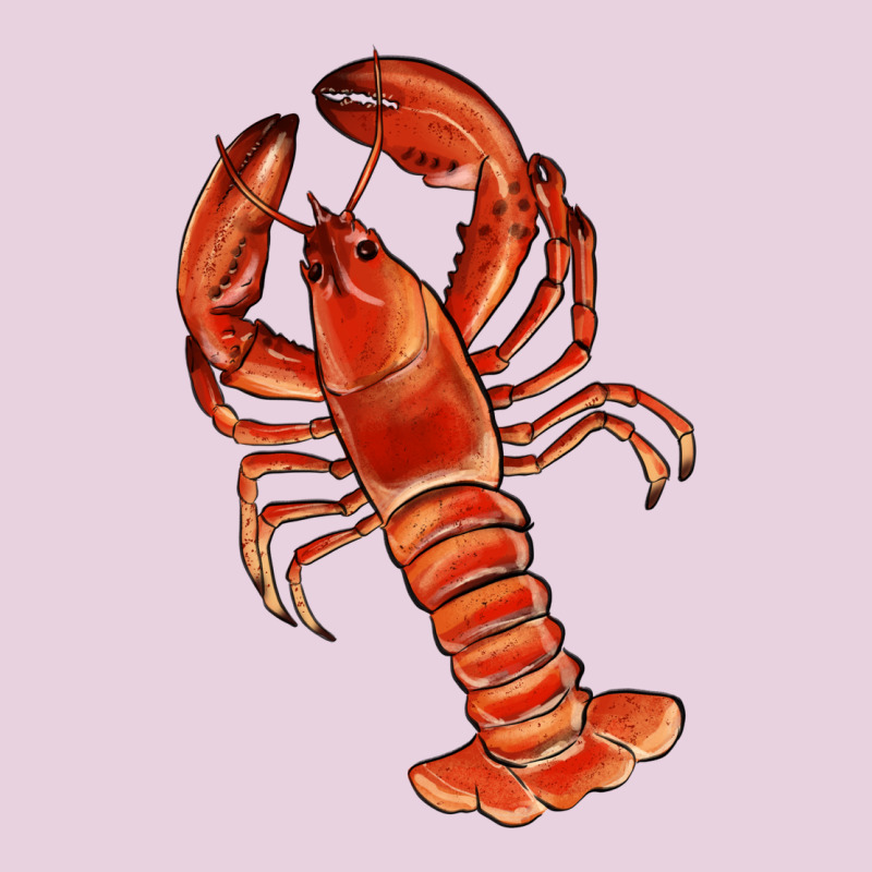 Crawfish Ladies Tee by RanaPortraitStore | Teevron