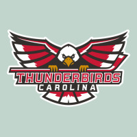 Carolina Thunderbirds Zipper Hoodie | Teevron