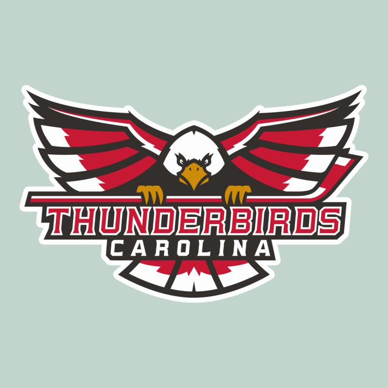 Carolina Thunderbirds Zipper Hoodie by minhPixels | Teevron