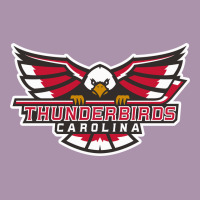 Carolina Thunderbirds Heavyweight Hoodie | Teevron