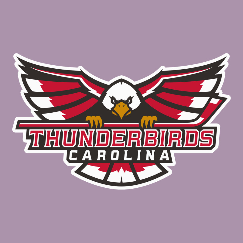 Carolina Thunderbirds Heavyweight Hoodie by minhPixels | Teevron