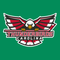 Carolina Thunderbirds Urban Hoodie | Teevron