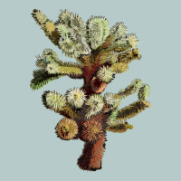 Cholla Tree Cactus Heavy Core Tee | Teevron