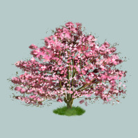Flowering Dogwood Tree Heavy Core Tee | Teevron