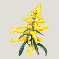 Botanical Goldenrod Heavy Core Tee | Teevron