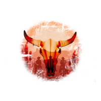 Western Cowboy Sunset Bull Skull | Teevron