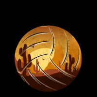 Desert Cactus Sunset Volleyball Ladies Tee | Teevron