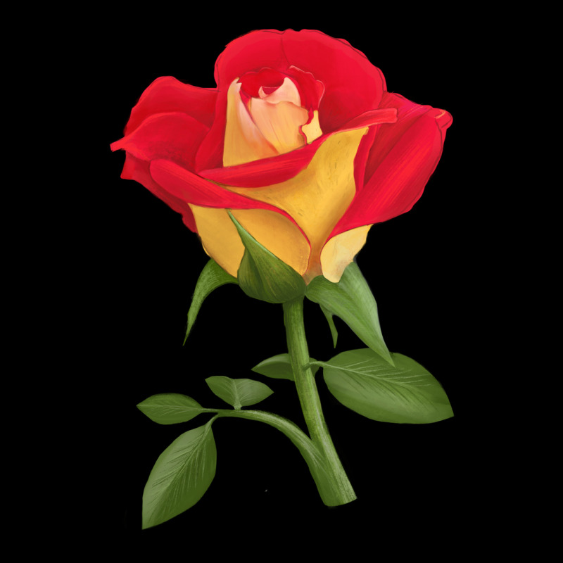 Ketchup And Mustard Rose Heavy Core Tee by LillyAllenDesigns | Teevron