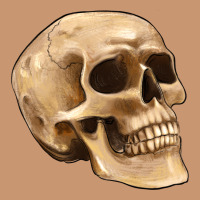 Skull Heavyweight Hoodie | Teevron
