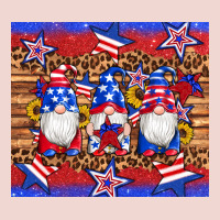 American Flag Gnomes Star Leopard Glitter Tumbler Premium Sweatshirt | Teevron
