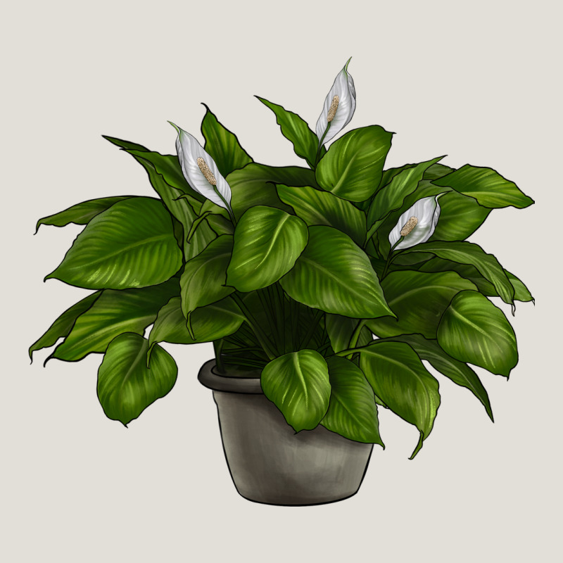 Peace Lily Heavy Core Tee by LillyAllenDesigns | Teevron