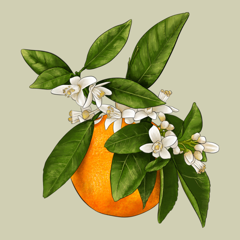 Tangerine Heavy Core Tee by LillyAllenDesigns | Teevron