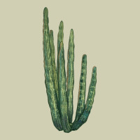 Organ Pipe Cactus Heavy Core Tee | Teevron