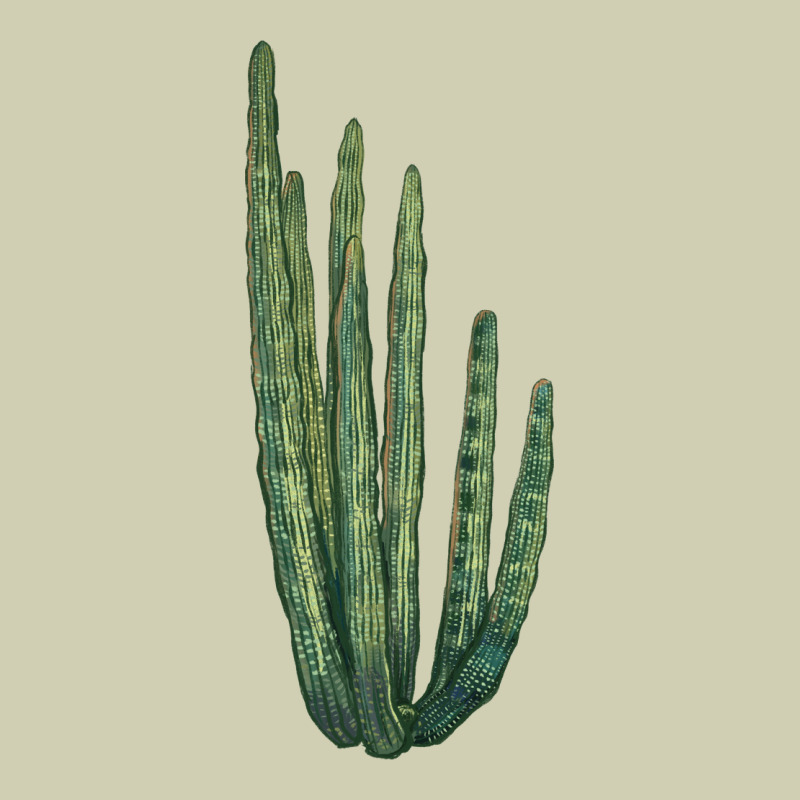 Organ Pipe Cactus Heavy Core Tee by LillyAllenDesigns | Teevron