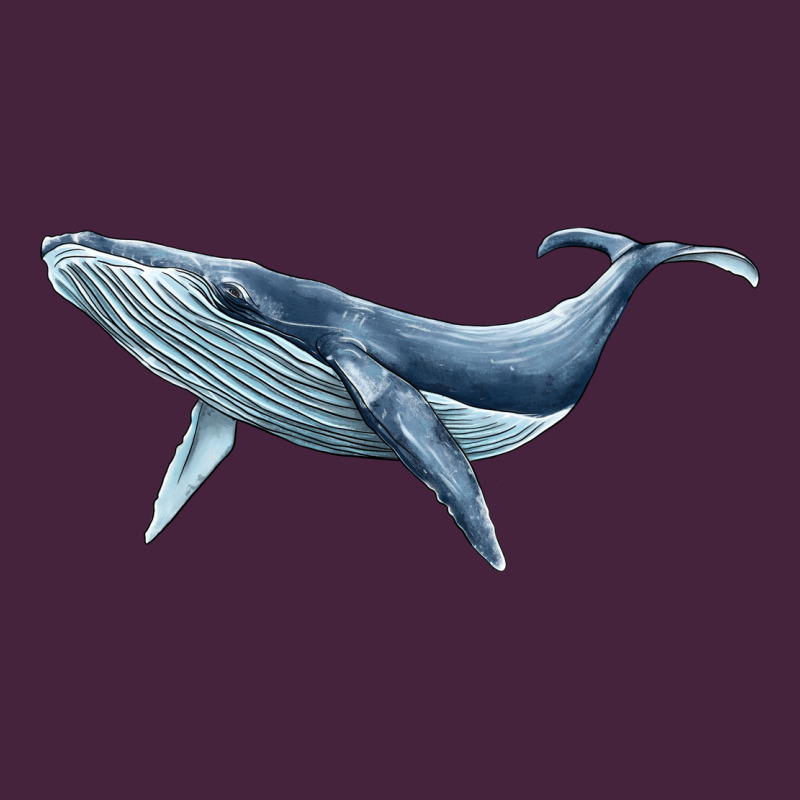Humpback Whale Premium Tee by BarkalooDesign | Teevron