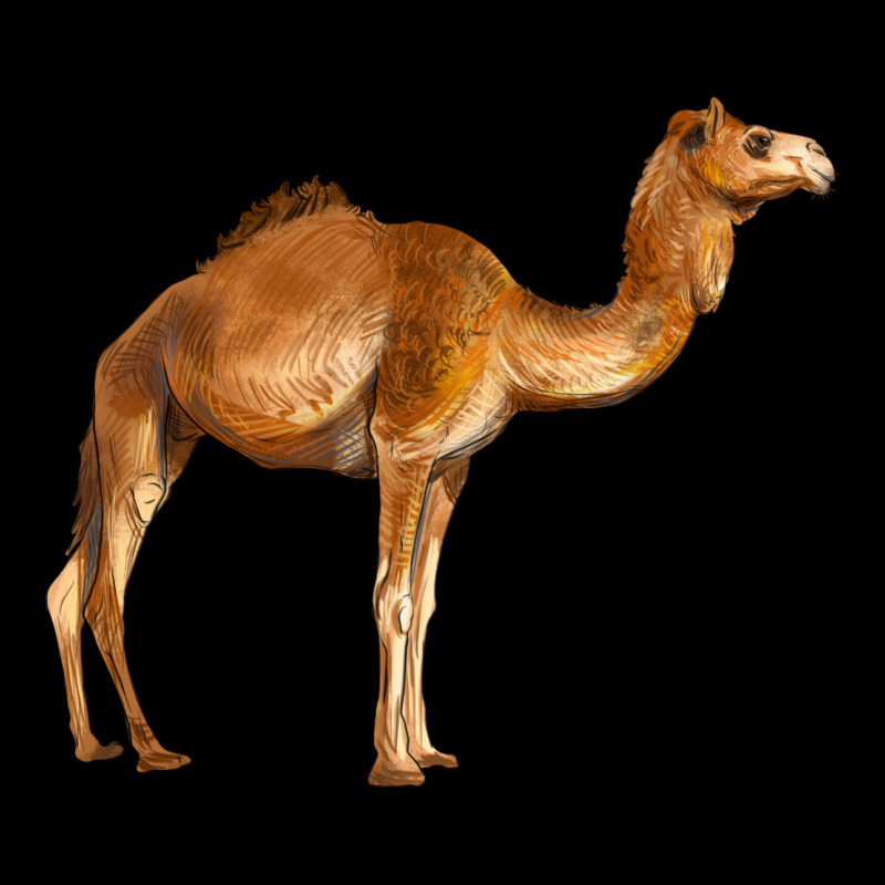 Camel Premium Tee by BarkalooDesign | Teevron