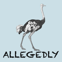 Allegedly Ladies Tee | Teevron