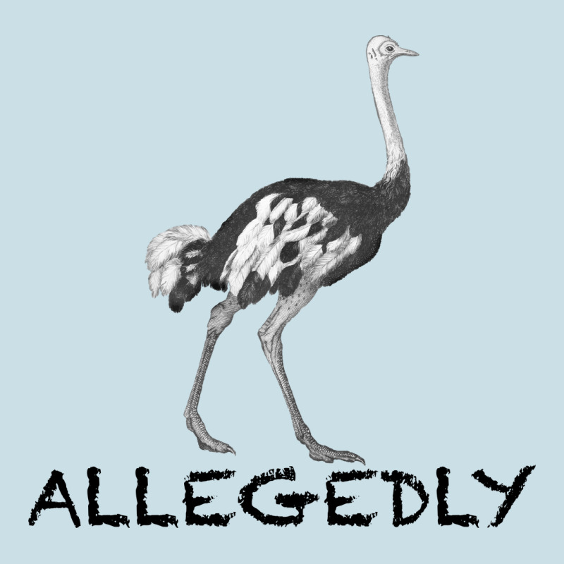 Allegedly Ladies Tee by Bettercallsaul | Teevron
