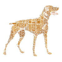 Vizsla Dog Owner Funny Gift I Love My Vizsla Dog Vizsla | Teevron