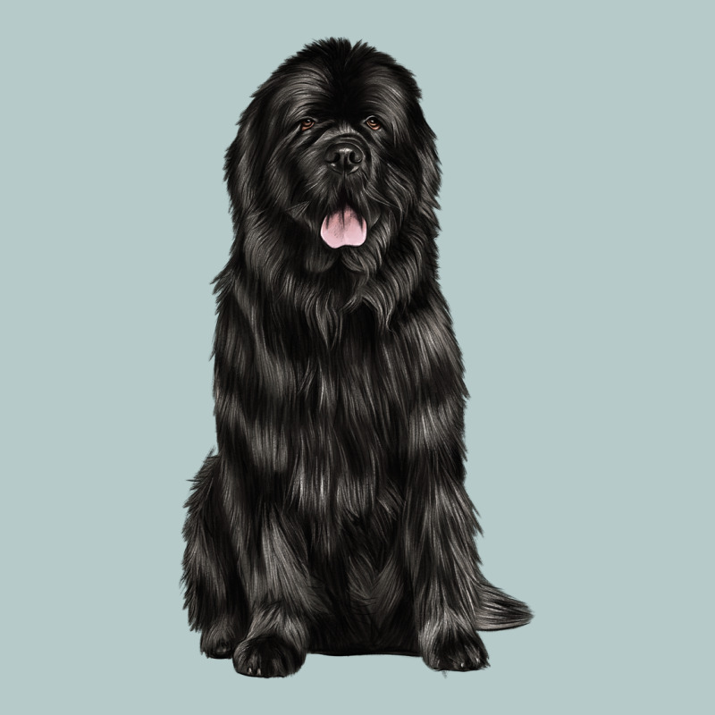 Newfoundland Dog Heavy Core Tee by LillyAllenDesigns | Teevron