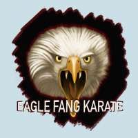 Eagle Fang Karate Ladies Tee | Teevron