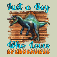 Just A Boy Who Loves Baby Spinosaurus Heavyweight Hoodie | Teevron