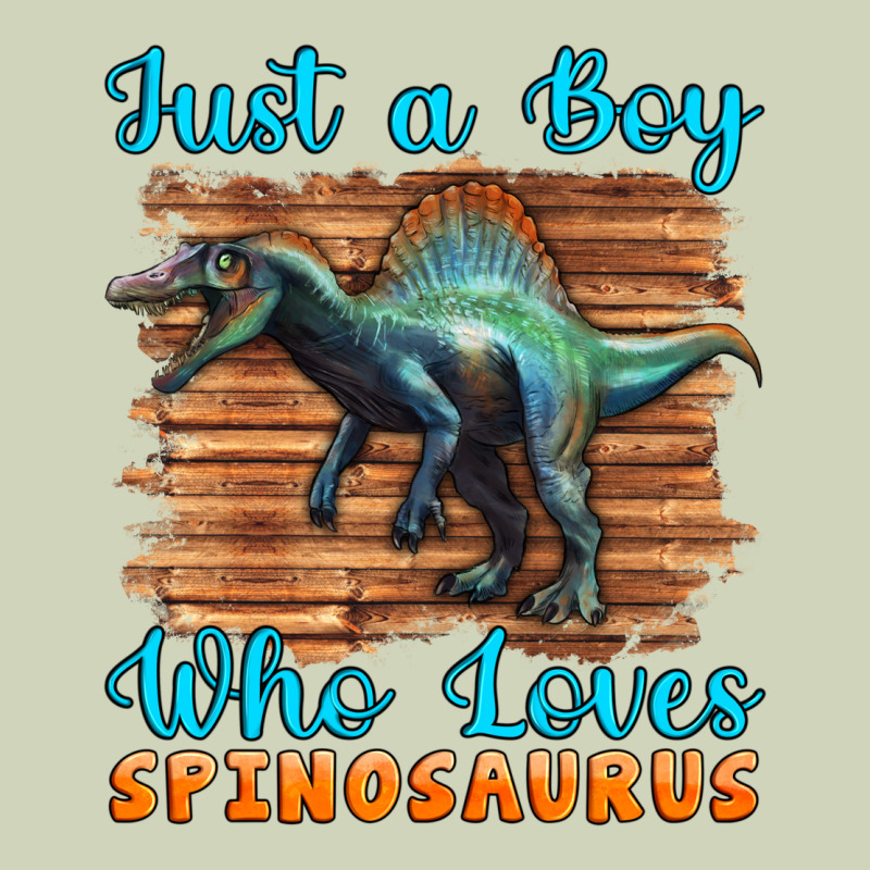 Just A Boy Who Loves Baby Spinosaurus Heavyweight Hoodie by Artiststas | Teevron