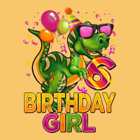 6th Birthday Girl T Rex Pink Vintage Hoodie | Teevron
