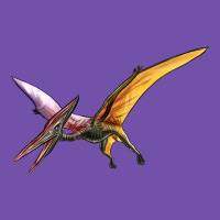 Dinosaur Pterodactyl Premium Sweatshirt | Teevron