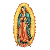 our lady of guadalupe | Teevron