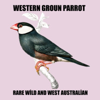 Western Ground Parrot Rare Wild And West Australia Ladies Tee | Teevron
