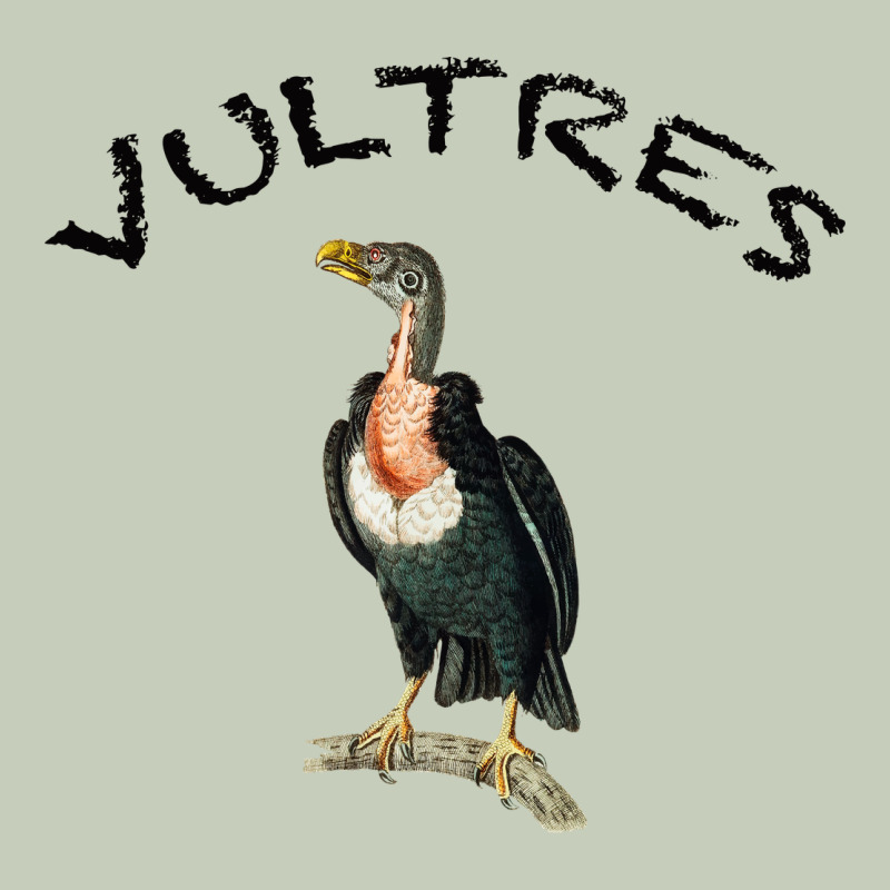 Vultures Ladies Tee by Bettercallsaul | Teevron