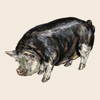 Poland China Pig Zipper Hoodie | Teevron